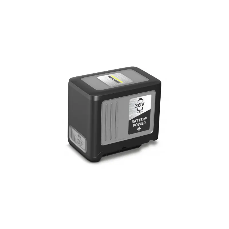 Batterie Power+ 36/60 6Ah 2.042-022.0