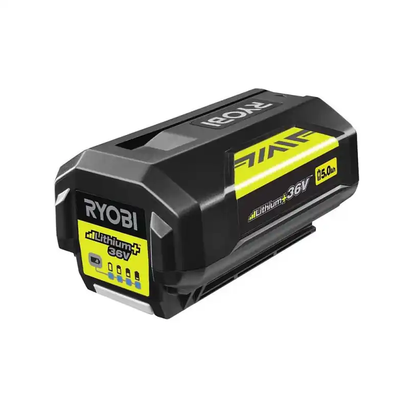 Batterie 36V MaxPower™ 5,0 Ah BPL3650D2