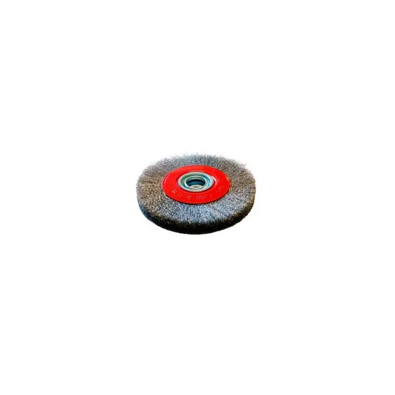 Brosse Circulaire D250x20x25.4 Fils Ondules Inox