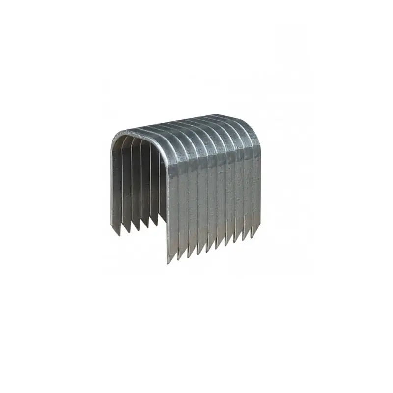 Boîte de 1000 agrafes T37 12mm pour câble/grille Arrow