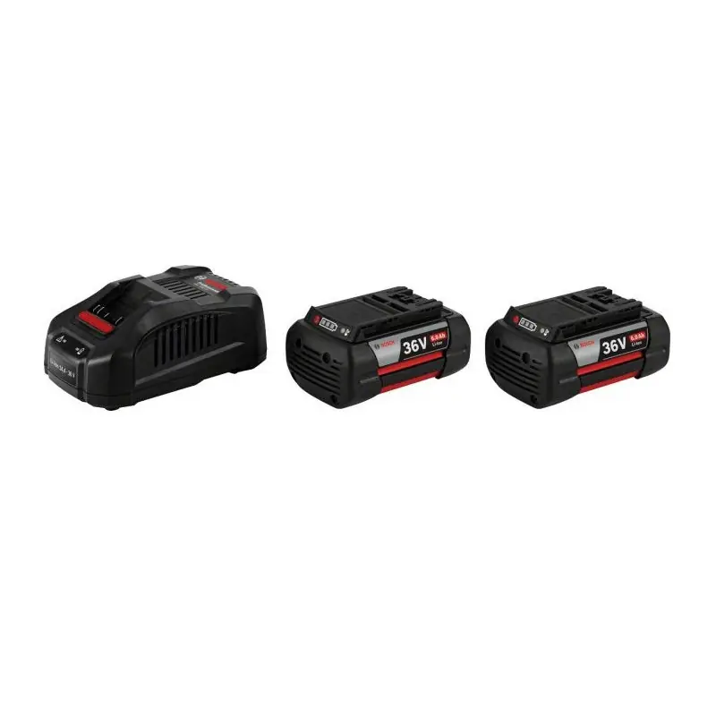 Chargeur rapide multivoltage et batteries Li-Ion Power Set 36 V 6,0 Ah