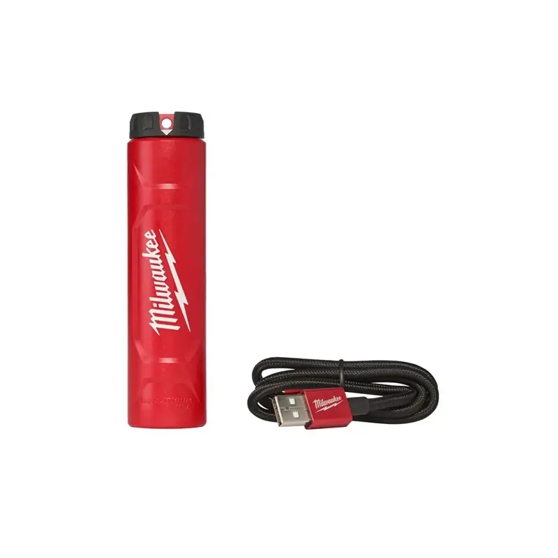 Chargeur pour batterie REDLITHIUM™ 4 V 2.5 Ah avec port micro-usb L4 C