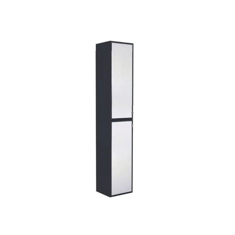 Colonne poser 35x185x313 cm coloris gris deux portes grands miroirs MA