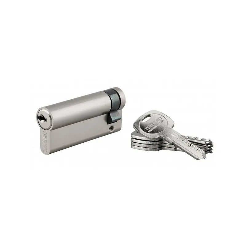 Demi-cylindre de Serrure 60 x 10 mm en boîte 17738