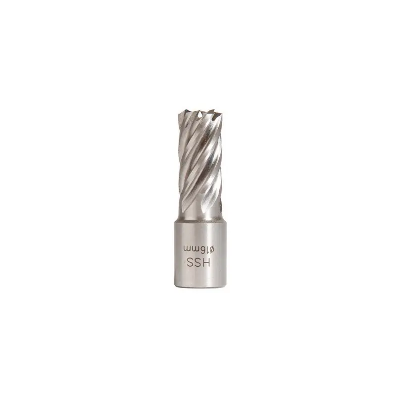 Fraise Hss H25mm Weldon 19 Mm D.16