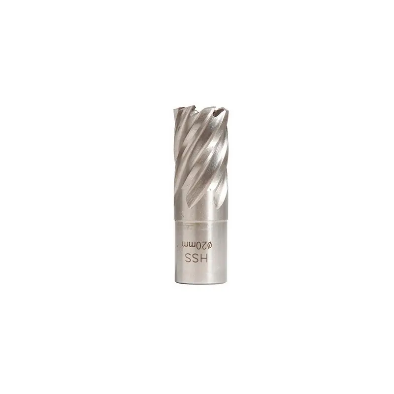 Fraise Hss H25mm Weldon 19 Mm D.21
