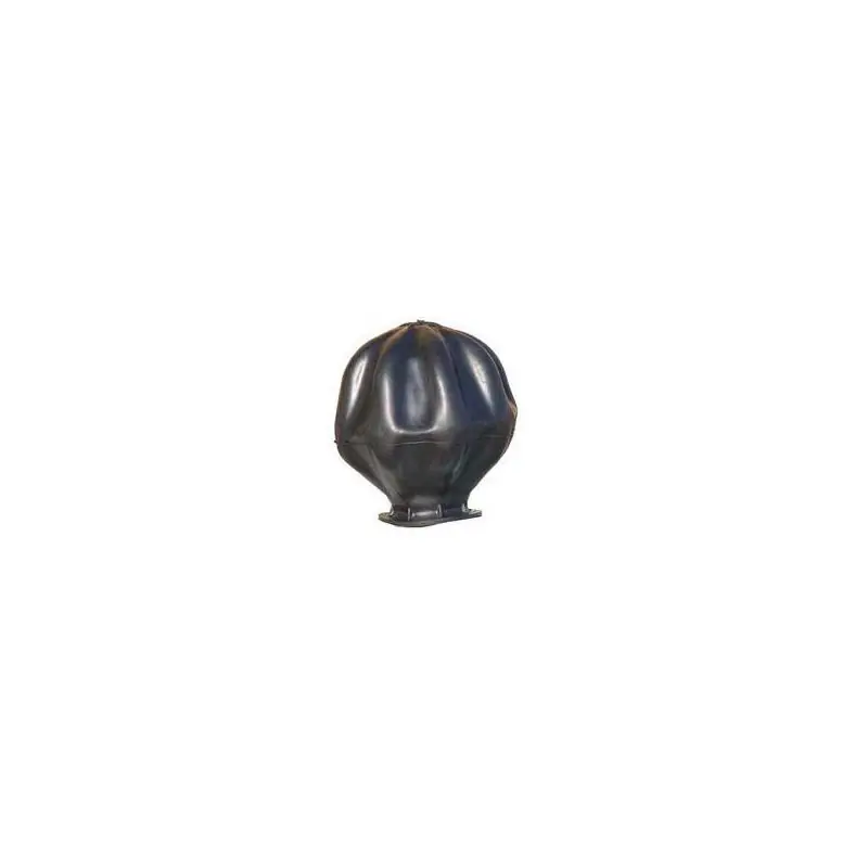Vessie membrane pour surpresseurs 100L Diam entrée 100mm 2 trous PRVES