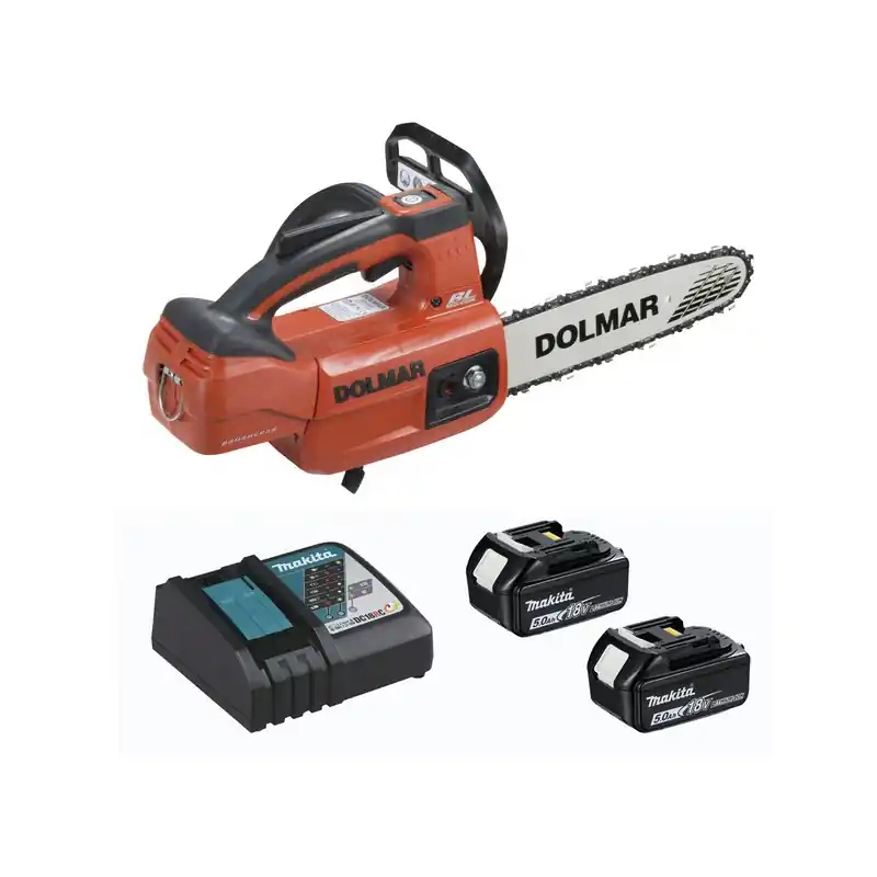 Tronçonneuse d‘élagage 18V Li-Ion 5Ah 25cm avec 2 batteries chargeur A