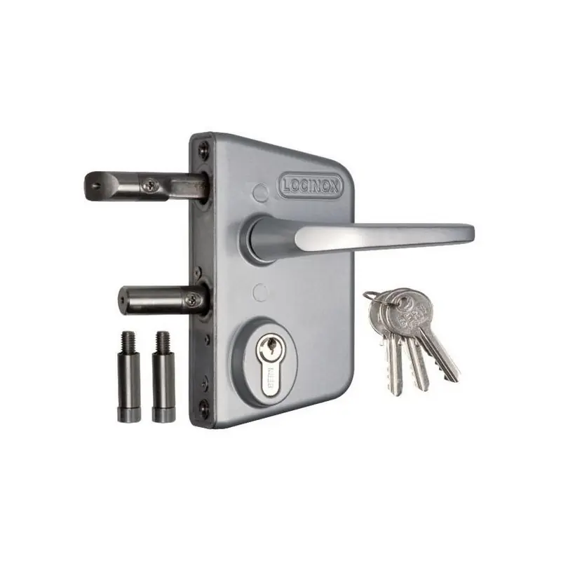 Serrure LAKQ Thermolaquée argent Profil 40 mm Axe à 60 mm
