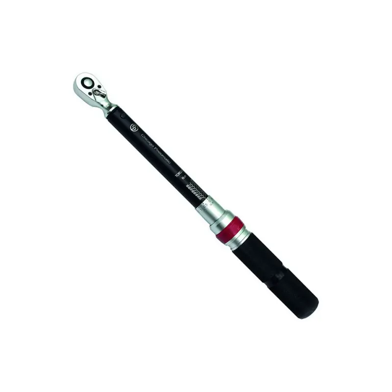 Clé dynamométrique de 20 à 100 Nm carré 3/8" longueur 410 mm CP8910