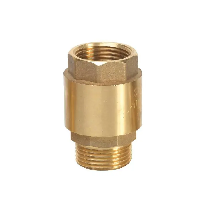 Clapet anti-retour M/F filetage 1” pour suppresseur PRCAMF1