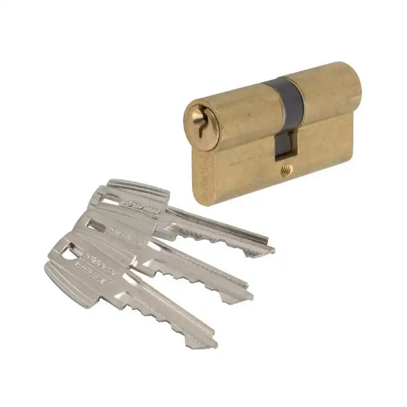 Cylindre 2 entrées TE5 laiton 48563B 30x30 mm