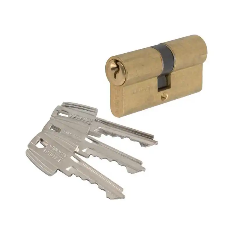 Cylindre 2 entrées TE5 laiton 48563B 60x30 mm