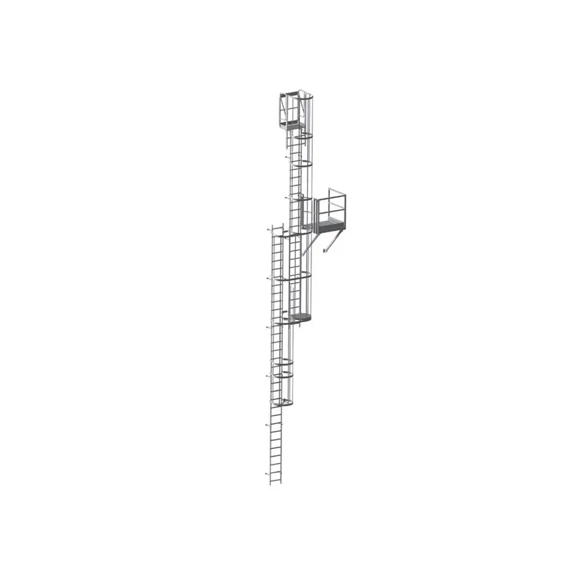 Echelle à fixer Longueur 3920 mm CR