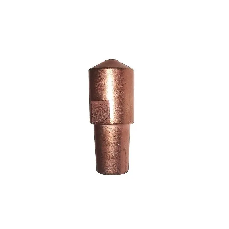 Electrode droite standart (2 pièces) Longueur 45mm