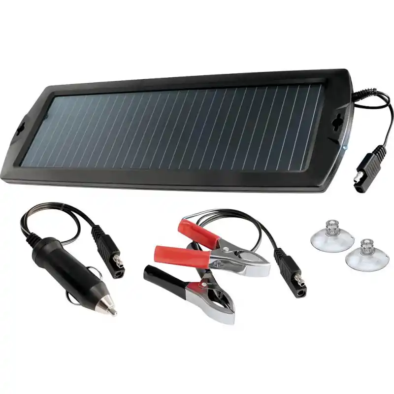 Kit solaire de maintien de charge pour batteries 12V 29163