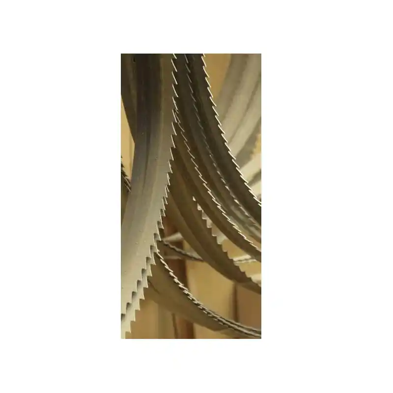 Lame de scie à ruban bimétal 1735x19x0,9 mm 8/12 Z/1" 1750XL