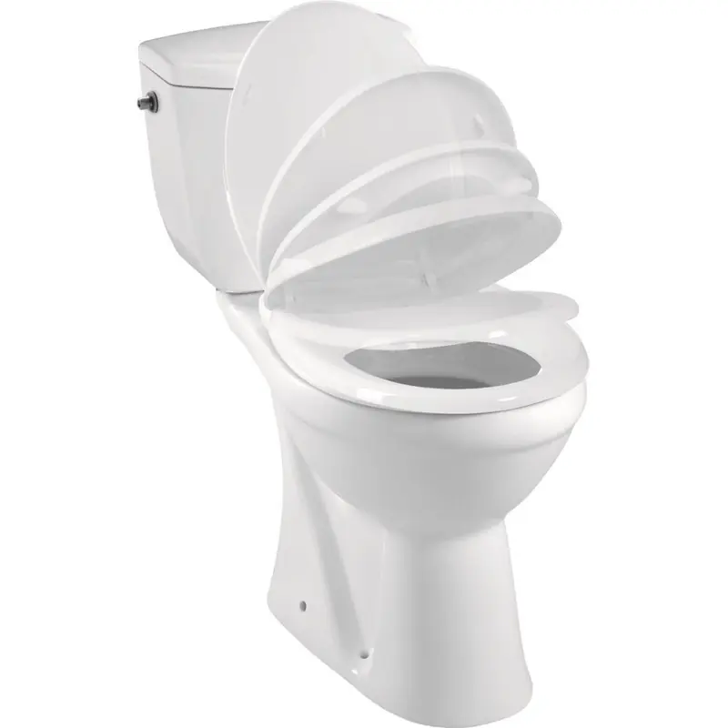 Pack WC à poser 842 x 683 cm sortie verticale 3/6 L couleur blanc KARM