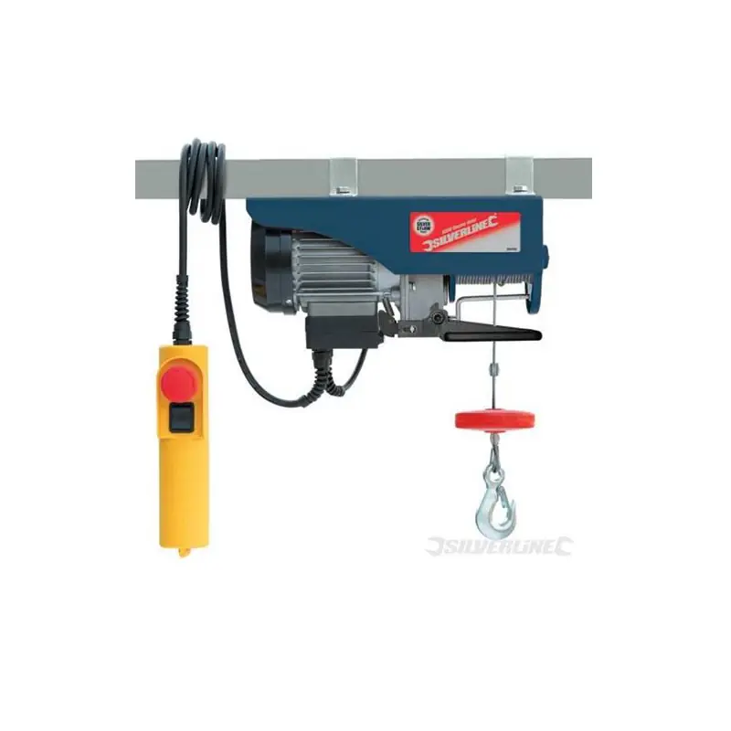 Palan électrique 250 kg 500W