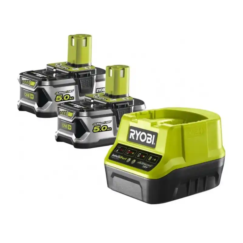 Pack chargeur rapide 20 A et 2 Batteries Lithium+ 18V ONE+™ 50 Ah RC18