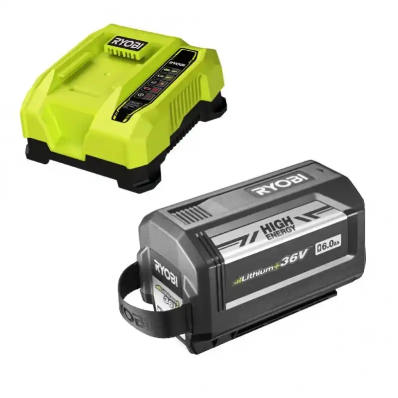 Pack batterie 36V MaxPower 60 Ah HIGH ENERGY chargeur rapide 60 A RY36
