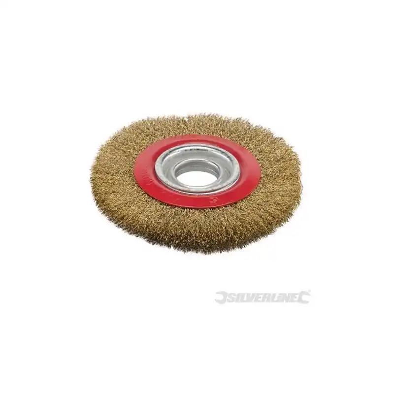 Brosse circulaire métallique 150 mm