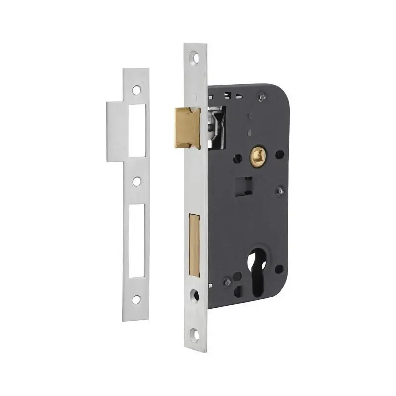 Boîtier Serrure à encastrer à cylindre têtière 200 x 22 mm inox Z/BC/L