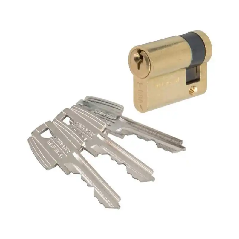 Demi-cylindre TE5 laiton varié 30x10 mm