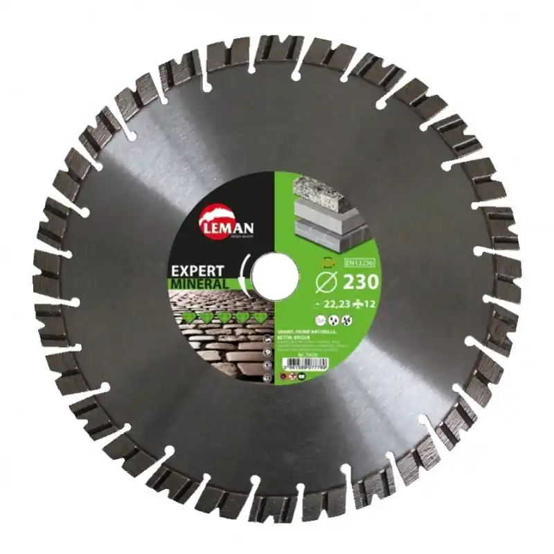 Disque diamant segments granit pierre naturelle Diam 300 x 254 x H 12