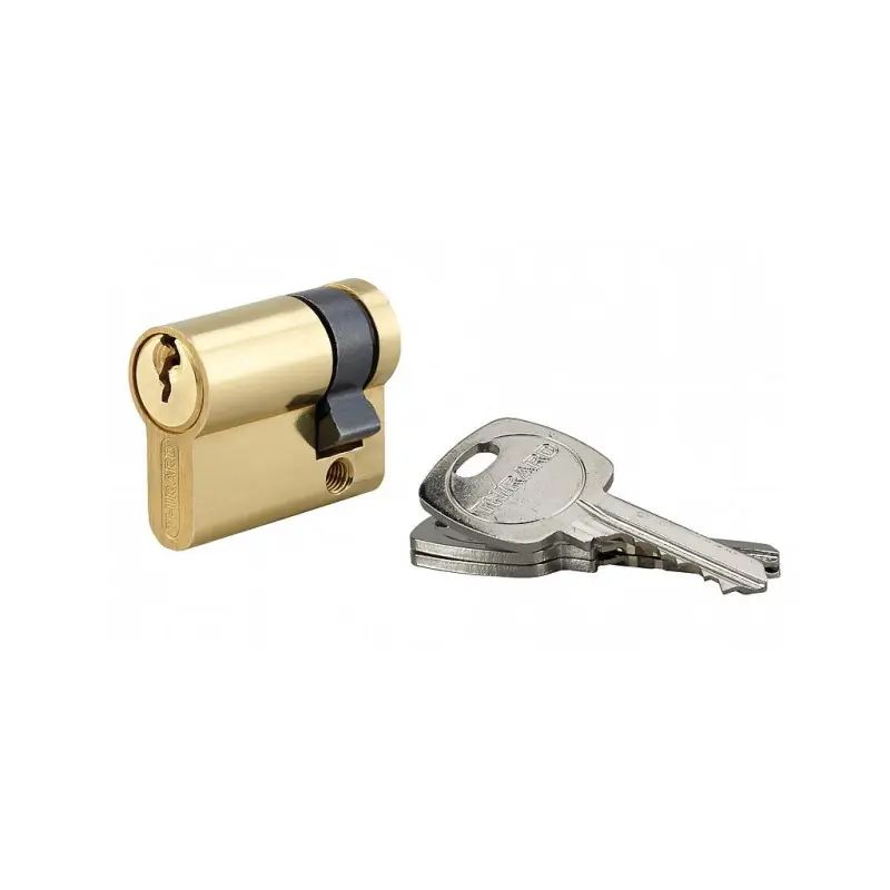 Demi-cylindre de serrure 30 x 10 mm 3 clés 915940