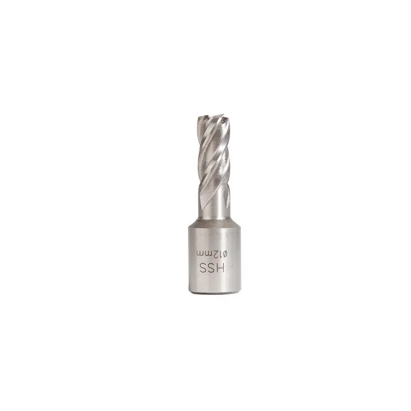 Fraise Hss H25mm Weldon 19 Mm D.13