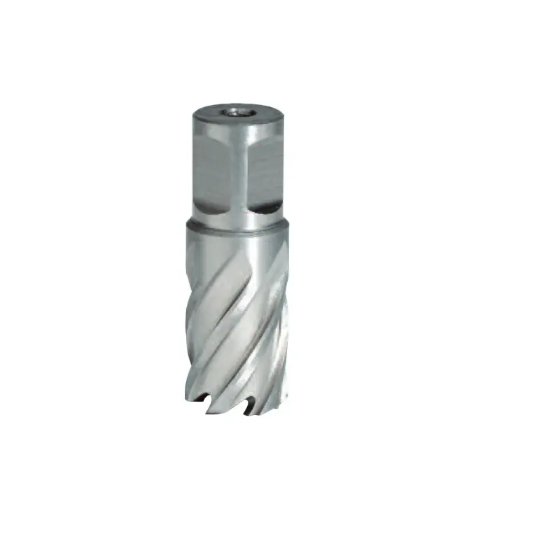Fraise Hss H25mm Weldon 19 Mm D.24