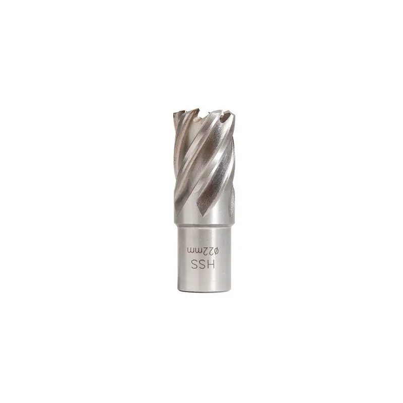 Fraise Hss H25mm Weldon 19 Mm D.37