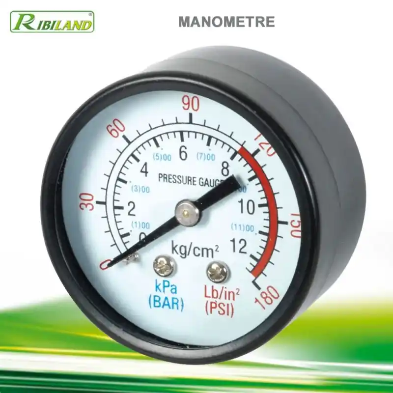 Manomètre fileté 1/4M
