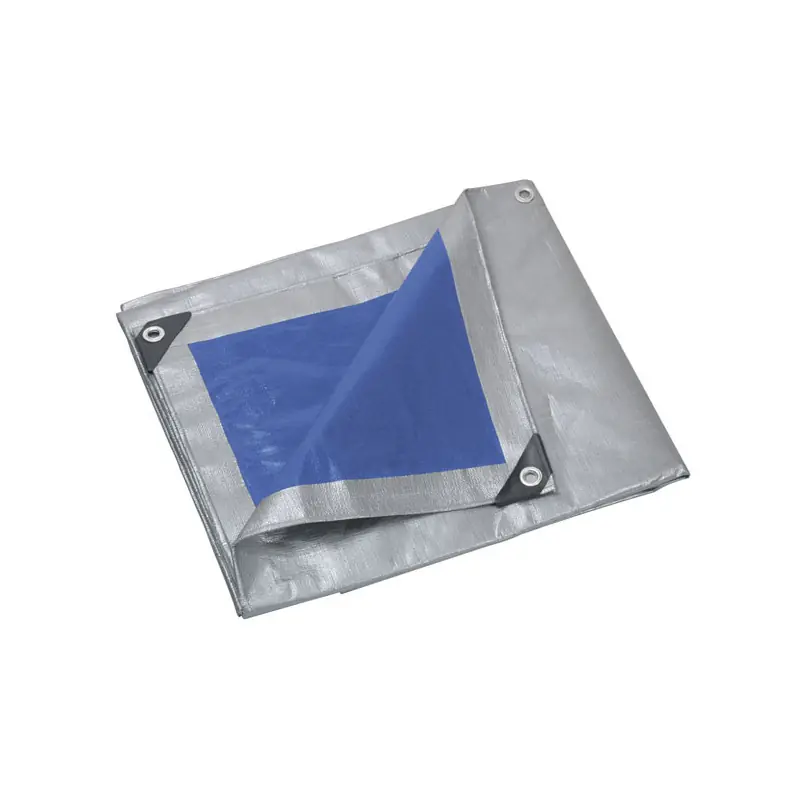Bâche ultra-lourde pro 250 gr/m2 2x3m PRB25002X03