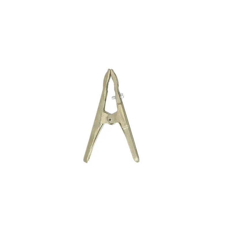 Pince de masse 300 A Croco B300.70