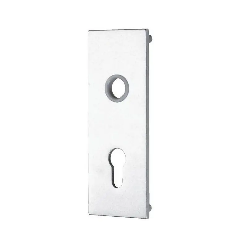 Plaque de propreté Verticale Horizontale pour serrure WSS