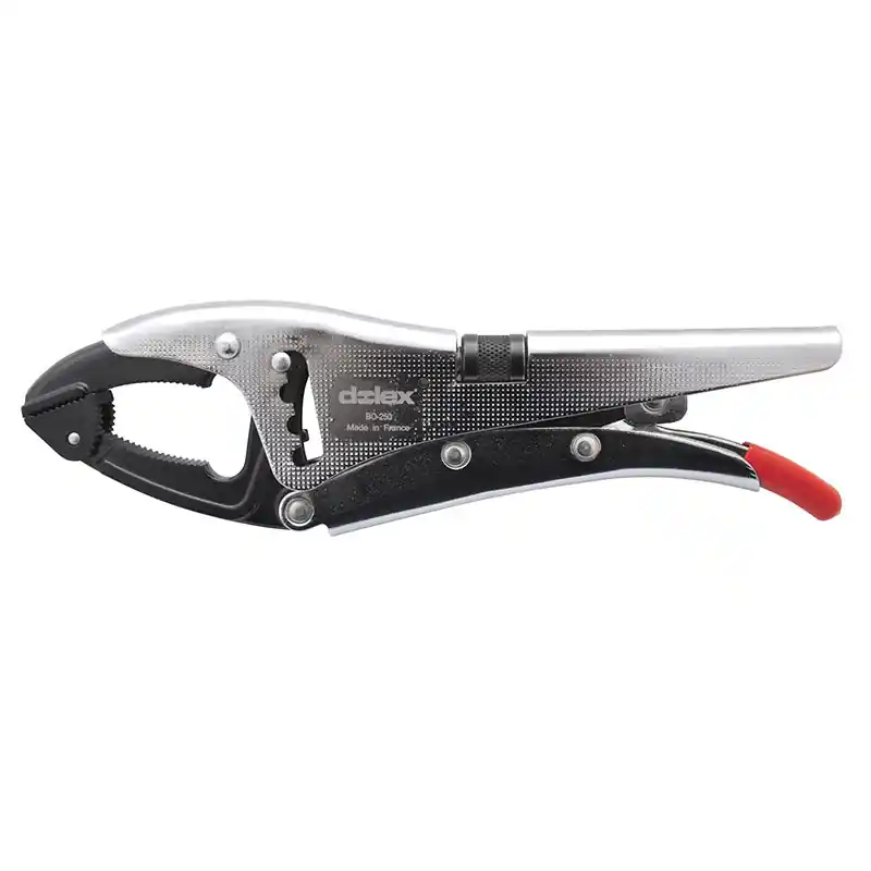 Pince étau grande capacité à bec orientable 250 mm ouverture 80 mm BO2