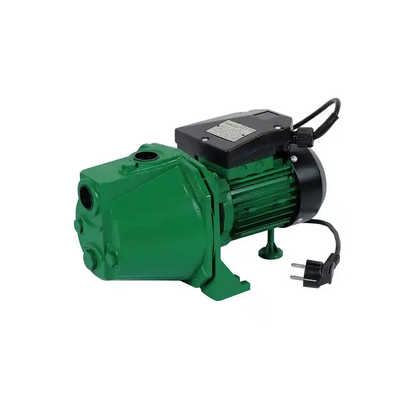 Pompe de surface 600W PRJET61