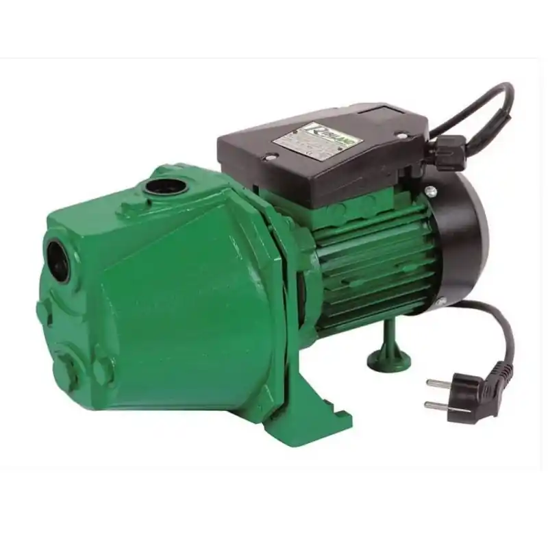 Pompe de surface 750W PRJET81