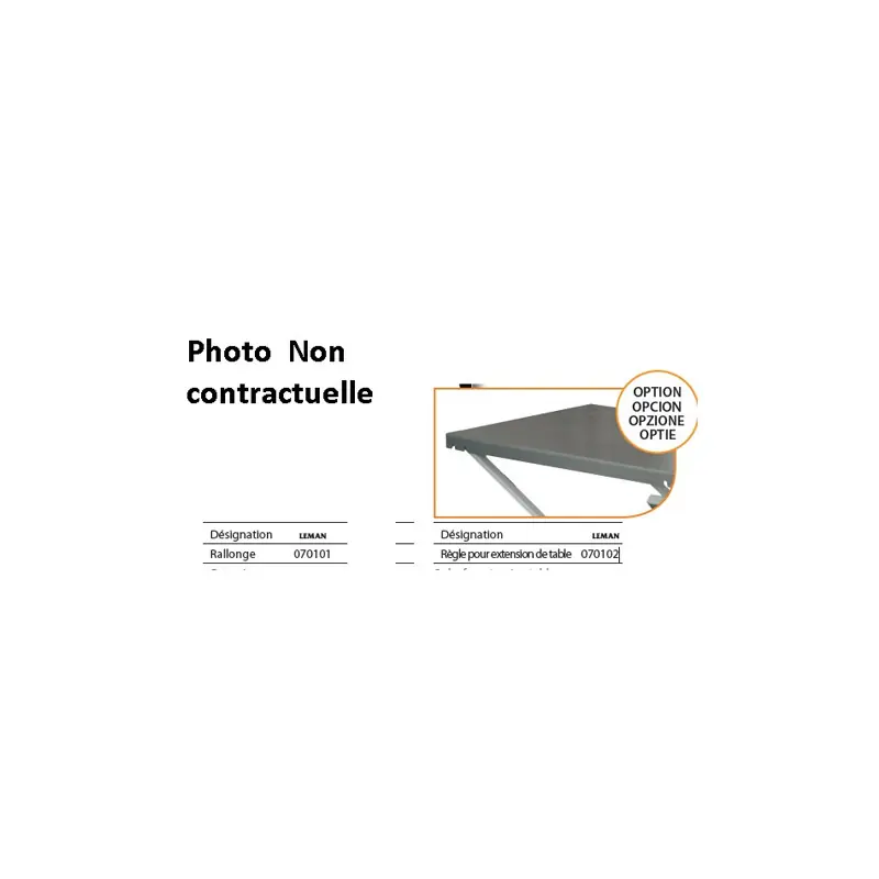Rallonge pour LOSST315 Leman (scie sur table à chantier) 70101