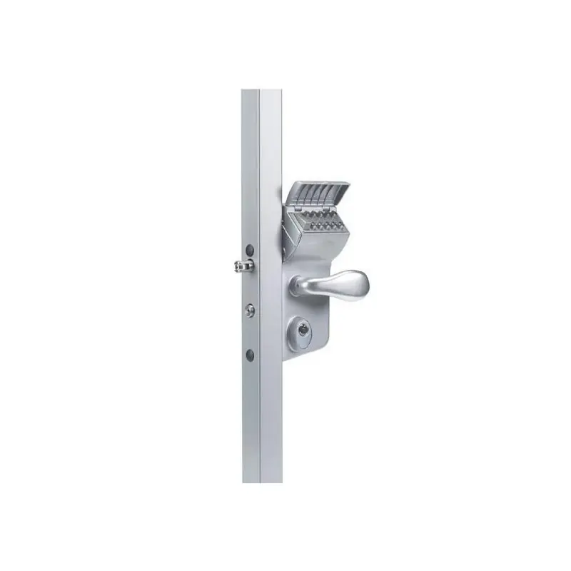 Serrure à code mécanique LMKQ40 Thermolaquée argent Profil 40 mm Axe à