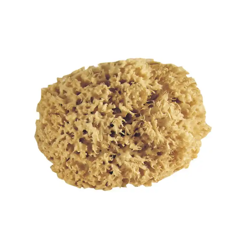 Eponge naturelle pro L‘Outil Parfait brute D6,5cm