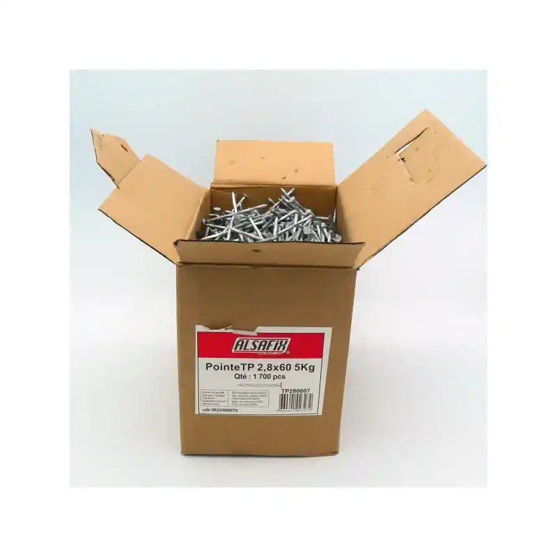 5 kg de pointes Alsafix TP CT HDG 2,8x60 tête plate carré torsadée