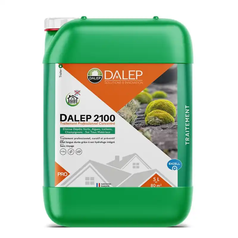 Traitement Professionnel concentré DALEP 2100 10L