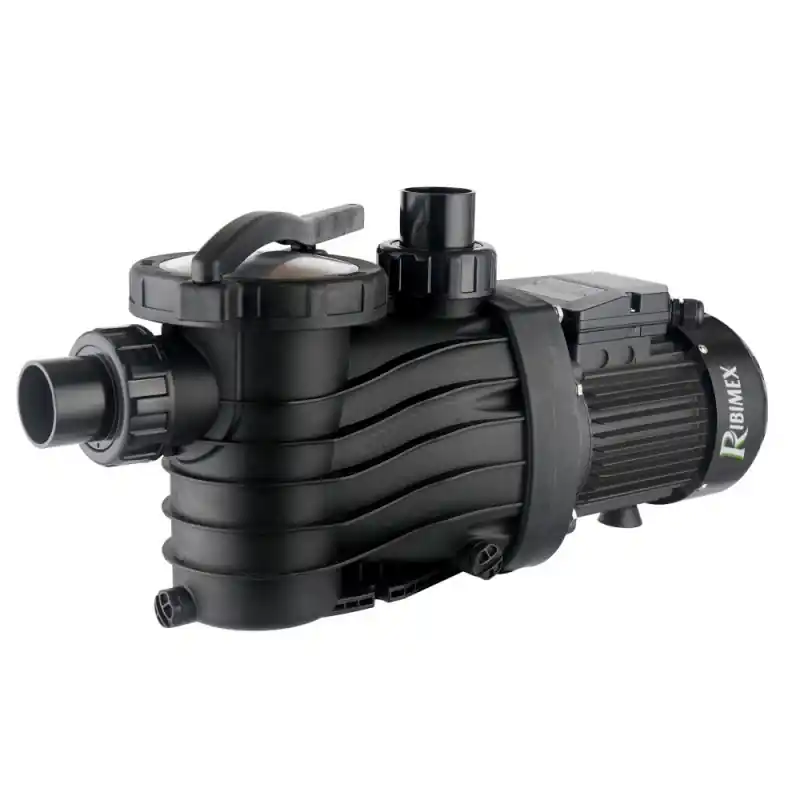 Pompe de filtrage Ribimex 800W pour piscine