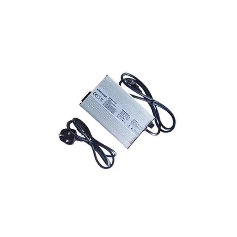 Chargeur standard Stockman pour DMEG diable monte-escalier électrique