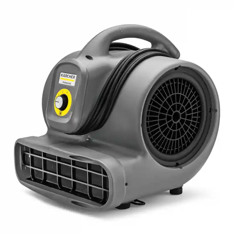 Souffleur sèche-tapis professionnel 120W AB 20/1 Ec Karcher