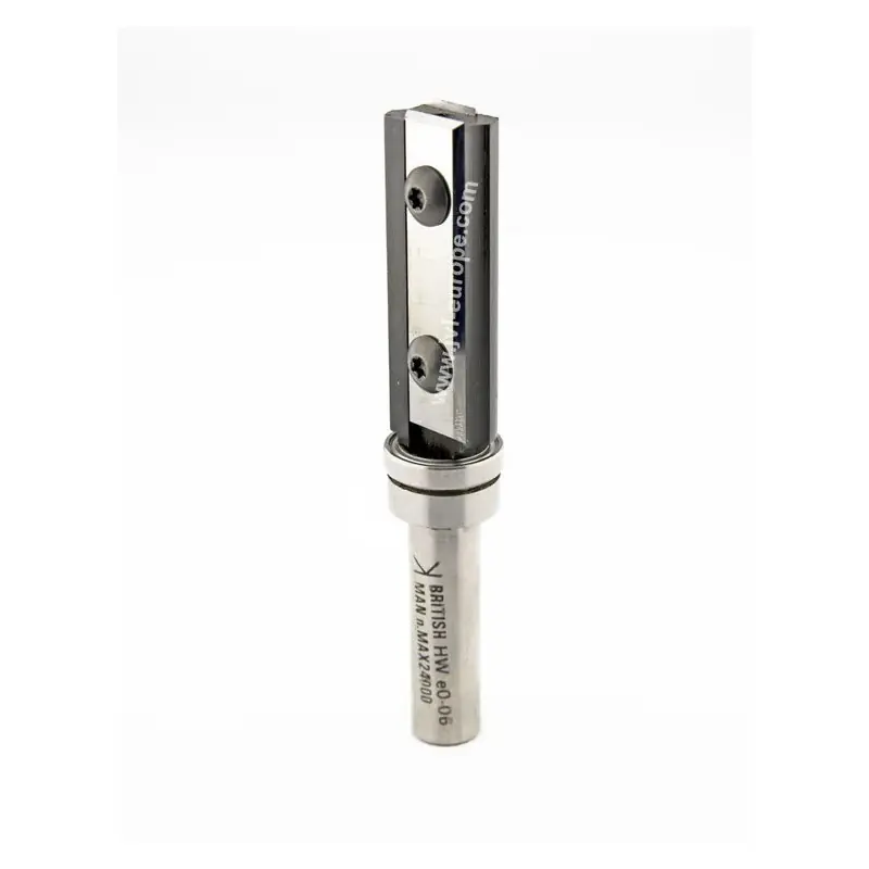 Pattern bit with replaceable knives L50/4 Z2 D19 L50 S12mm