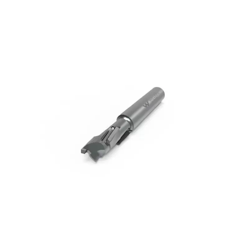 PCD router cutter D12 S12mm Eco-Line Mini Z1+1 with HWM body
